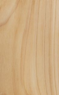 Western Red Cedar