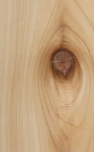 Knotty Western Red Cedar