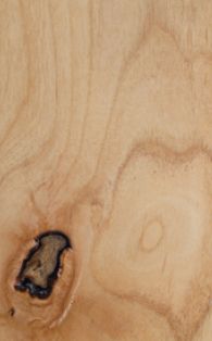 Knotty Alder
