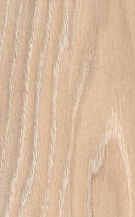 Spanish Cedar