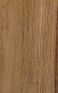 Teak