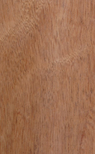 Honduras Mahogany
