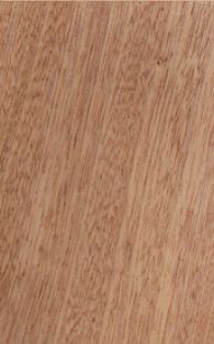 African Mahogany
