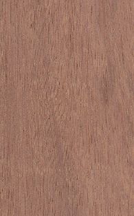 Sapele Mahogany