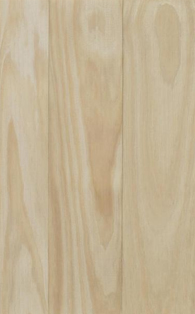 Accoya